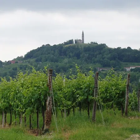 Appartamento Casa Delle Bruscole Conegliano